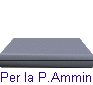 Per la P.Amministrazione