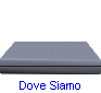 Dove Siamo