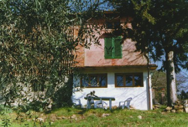 Il Noce