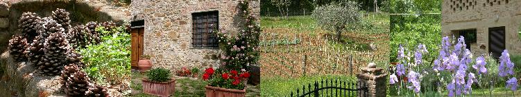 TOSCANA: Holiday Homes & Ferienhuser
